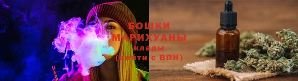PSILOCYBIN Абдулино