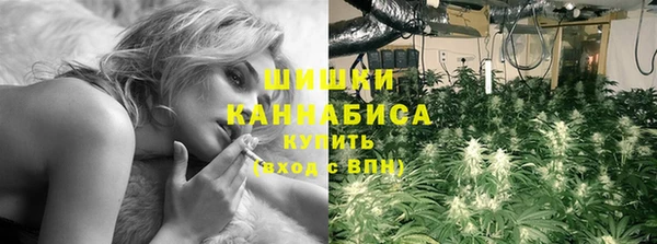 PSILOCYBIN Абдулино